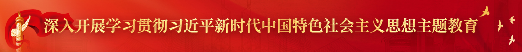 深入開展學(xué)習(xí)貫徹習(xí)近平新時(shí)代中國特色社會(huì)主義思想主題教育